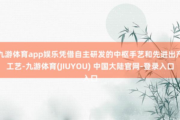 九游体育app娱乐凭借自主研发的中枢手艺和先进出产工艺-九游体育(JIUYOU) 中国大陆官网-登录入口