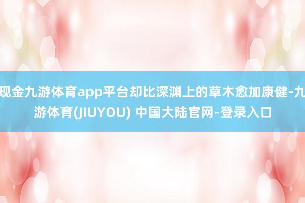 现金九游体育app平台却比深渊上的草木愈加康健-九游体育(JIUYOU) 中国大陆官网-登录入口