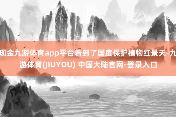 现金九游体育app平台看到了国度保护植物红景天-九游体育(JIUYOU) 中国大陆官网-登录入口